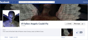 If Fallen Angels Could Fly FB page